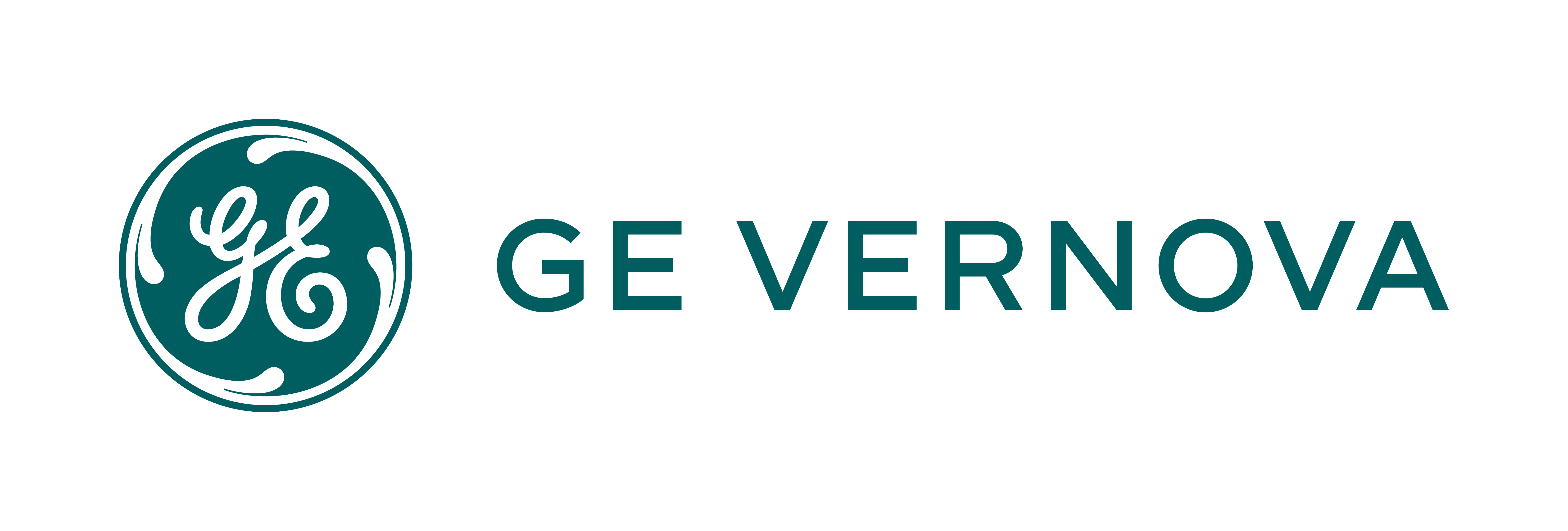 GE Vernova Hitachi Nuclear Energy